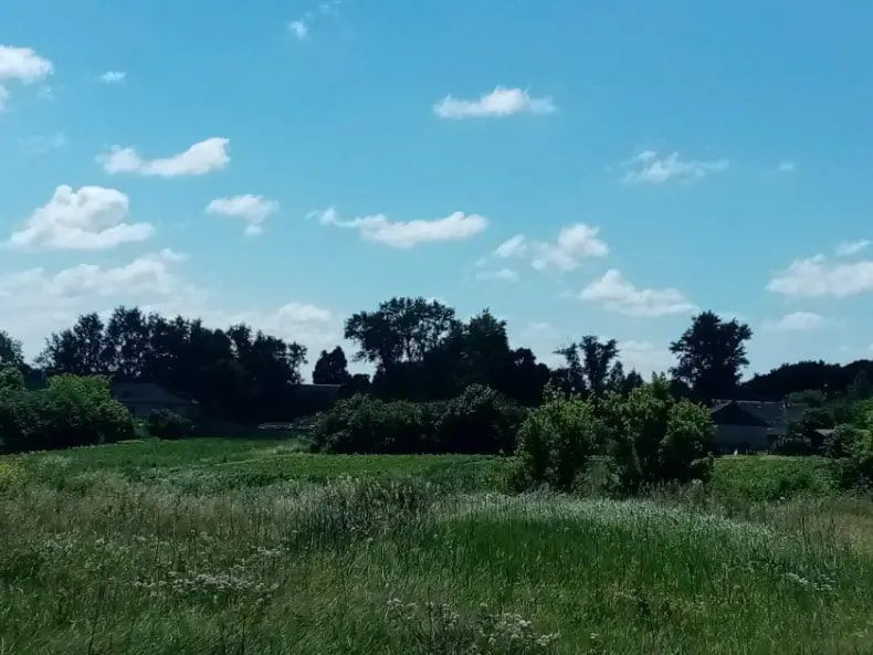 СЕЛО ВАСИЛЬЕВСКИЕ (КАМЫНИНО). ИСТОРИЯ